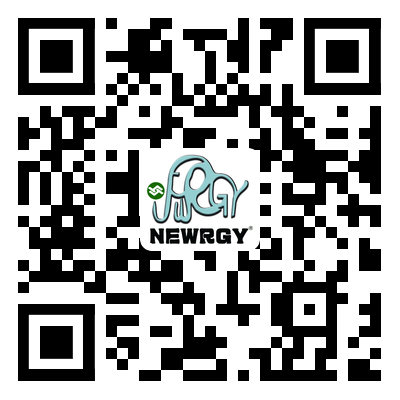 the qr code